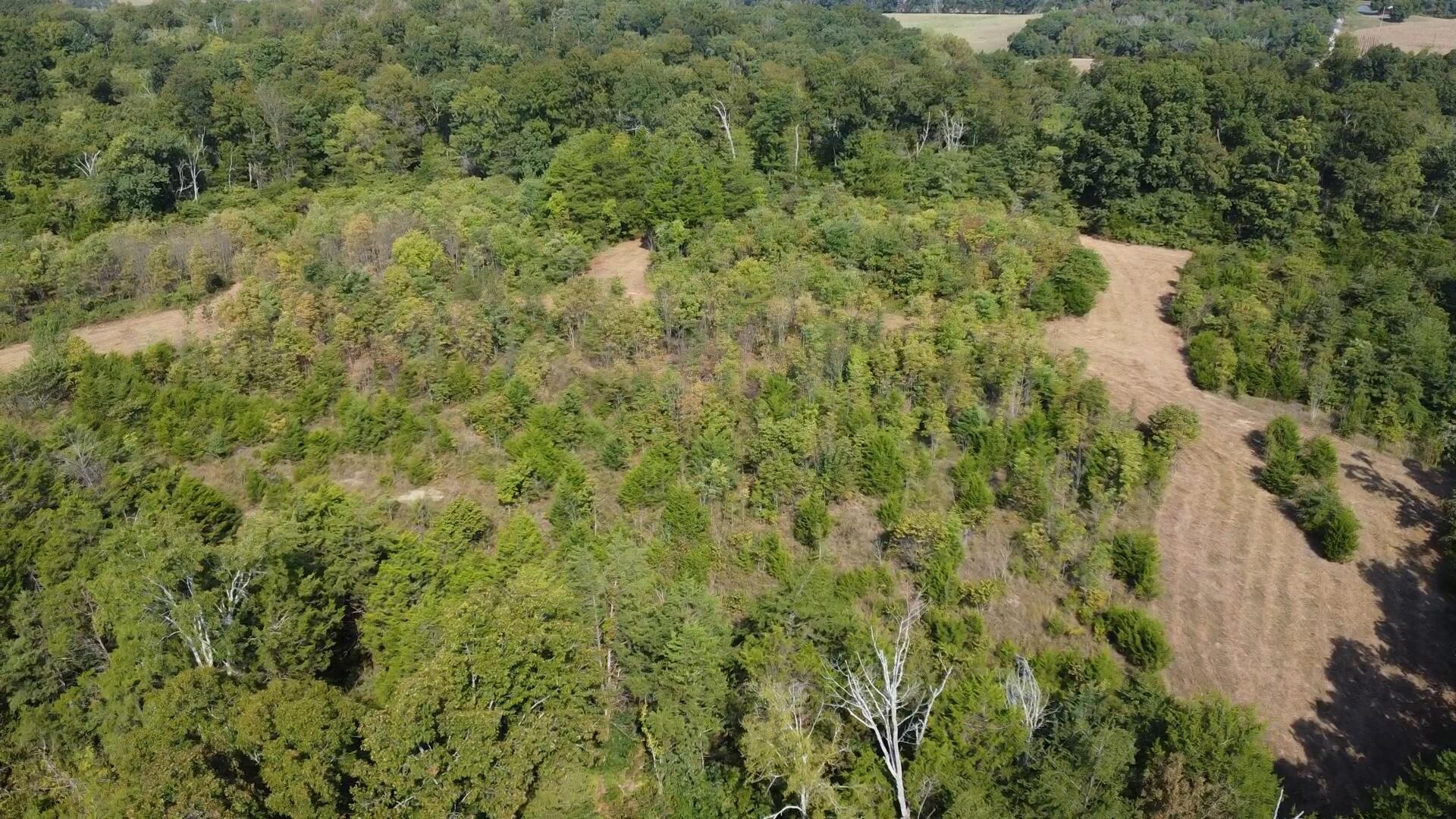 0 County Line Road Columbia, KY 42728 - Photo 21 of 28 444