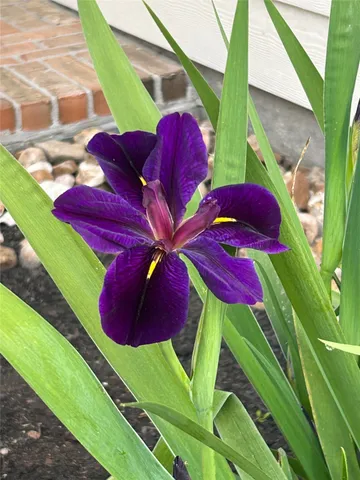 a front view of a house with a lake view