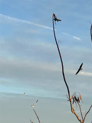 an aerial view of a house with outdoor space
