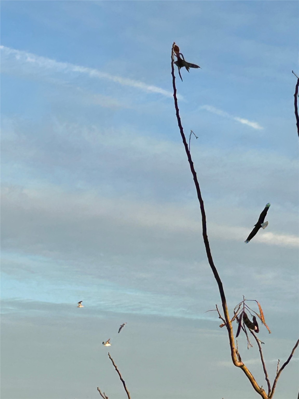 2149 Rope Maker Road Conroe, TX 77384 - Photo 33 of 45 a bathroom with a shower