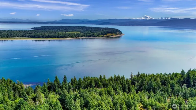a view of a lake in middle of a field