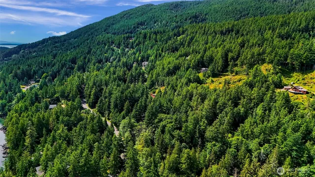 a view of a lush green space