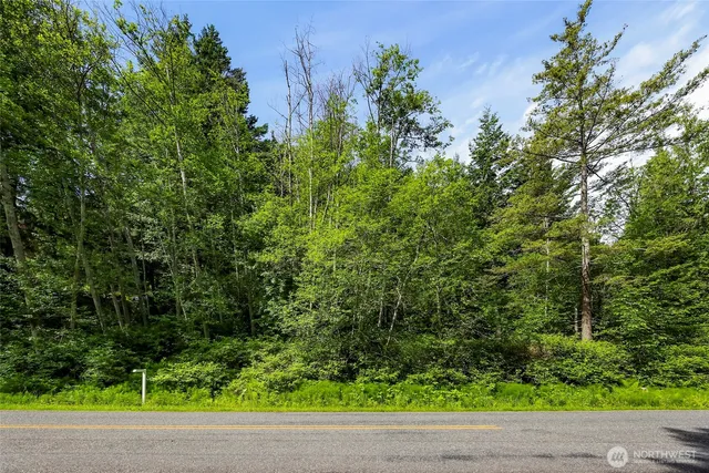 view of a small yard