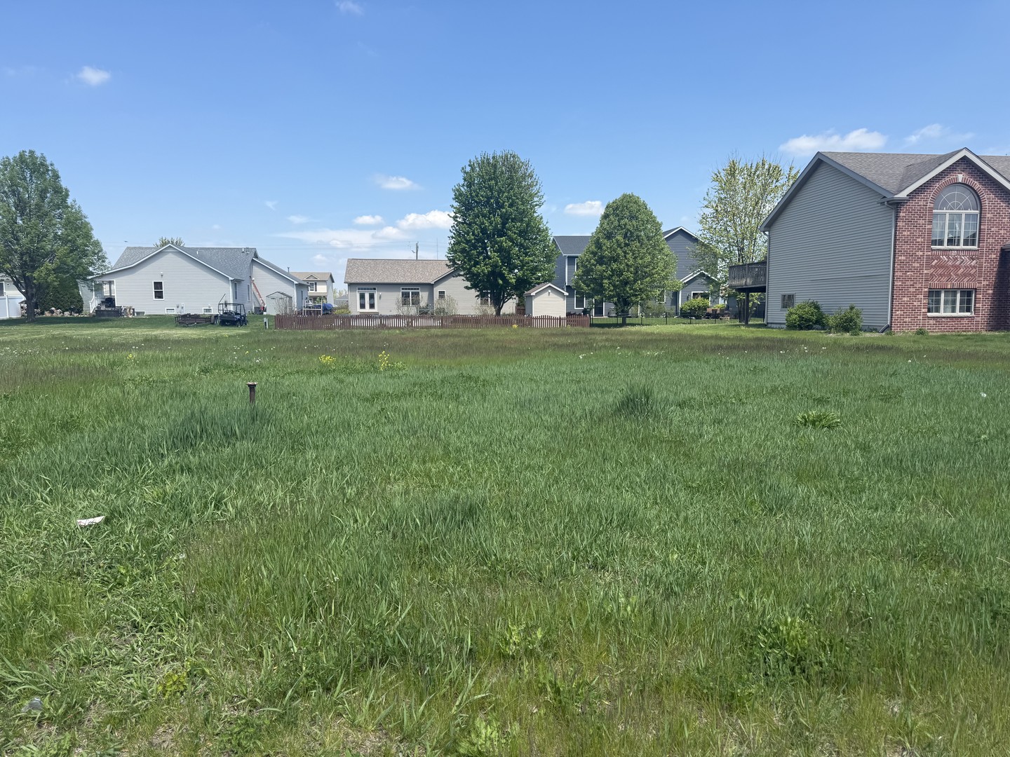 1018 Madison Avenue Braidwood, IL 60408 - Photo 1 of 1 a view of a house with a big yard
