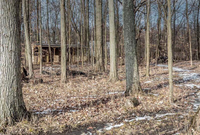 4459 Green Cook Road Johnstown, OH 43031 - Photo 98 of 103 LET'S TAKE A WALK THRU THE WOODS...