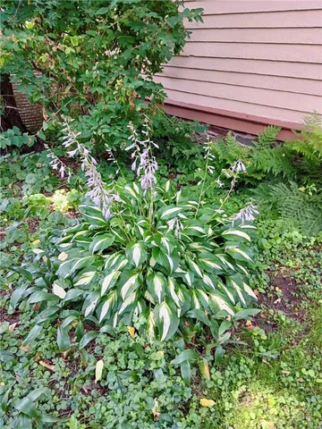 $238,900 | 44 Elm Street, Oneonta, NY 13820