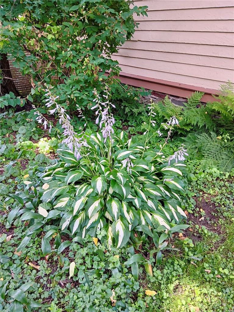 44 Elm Street Oneonta, NY 13820 - Photo 47 of 49