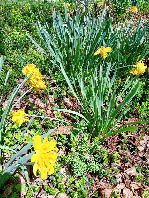 44 Elm Street Oneonta, NY 13820 - Photo 48 of 49