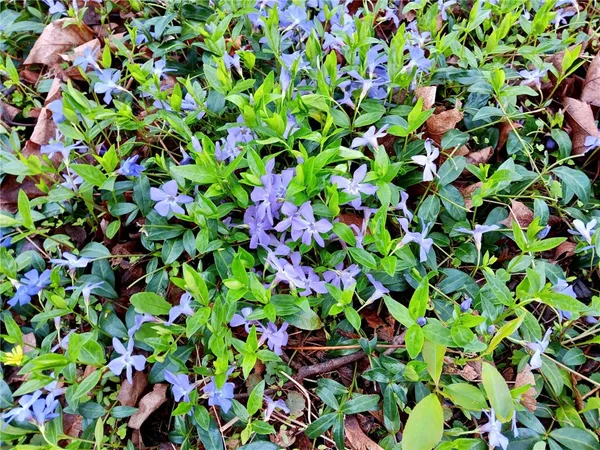 $238,900 | 44 Elm Street, Oneonta, NY 13820