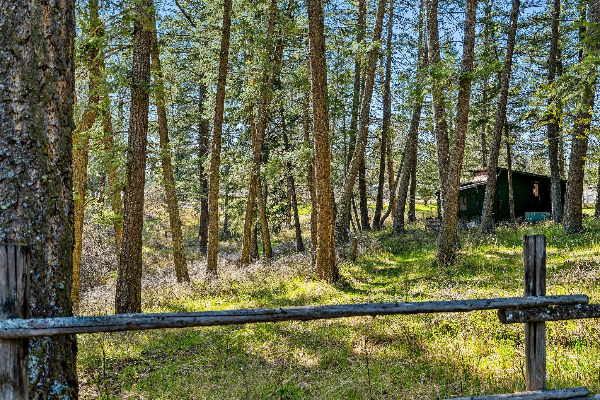 701 McCaffery Road Bigfork, MT 59911 - Photo 61 of 65 Gallery Image 61