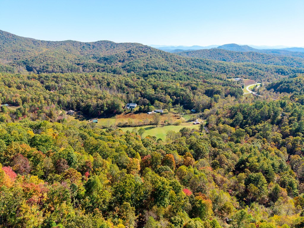 185 Clate Fain Road Murphy, NC 28906 - Photo 2 of 40