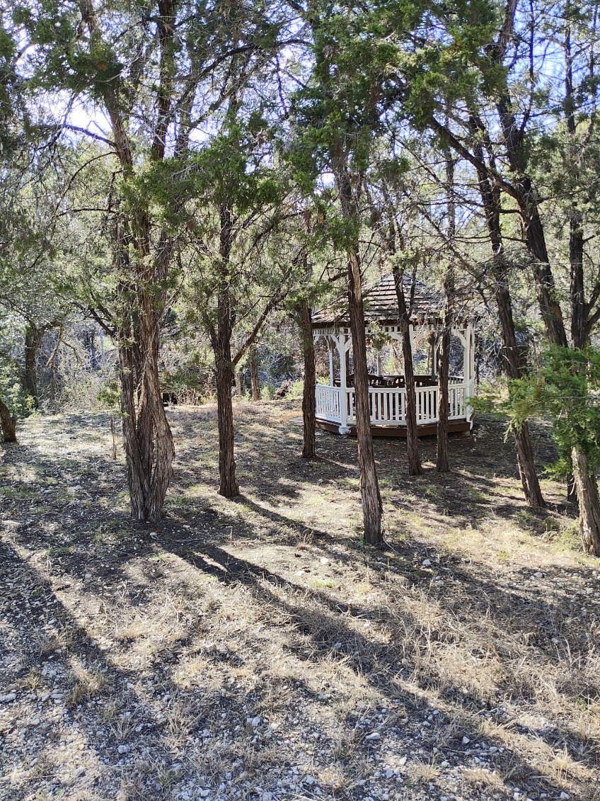 210 Amandas Way Leander, TX 78641 - Photo 37 of 38 View of yard featuring a gazebo