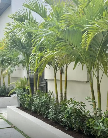 a pathway of a house