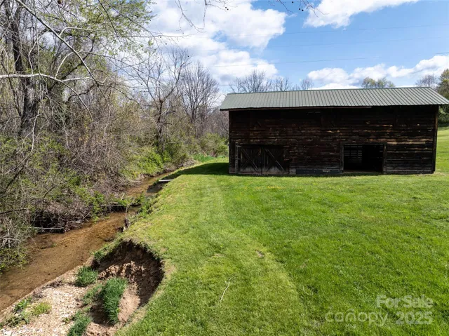 a view of a big yard with potted plants and large trees