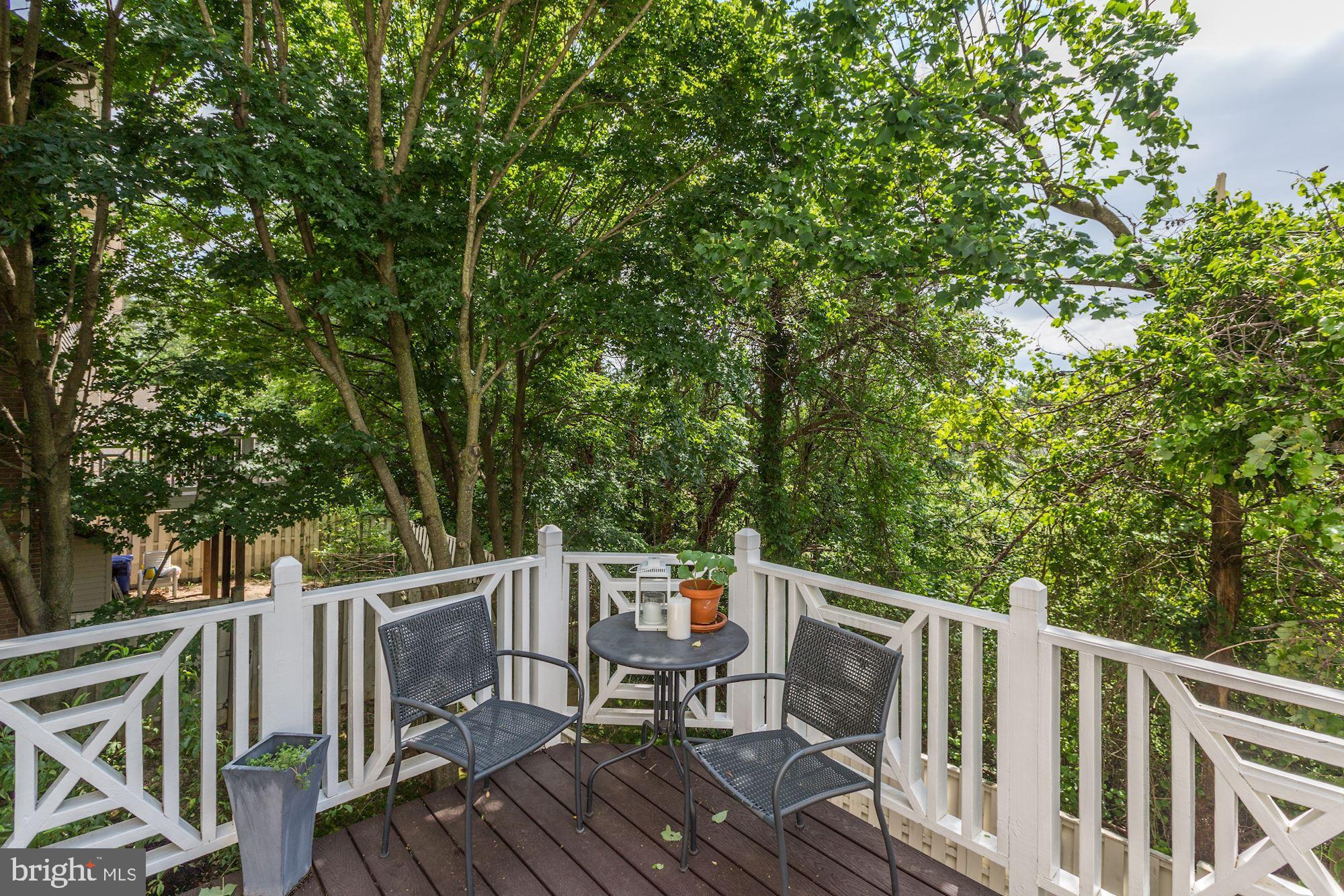 8532 Bells Ridge Terrace Potomac, MD 20854 - Photo 11 of 32 New Trex Deck