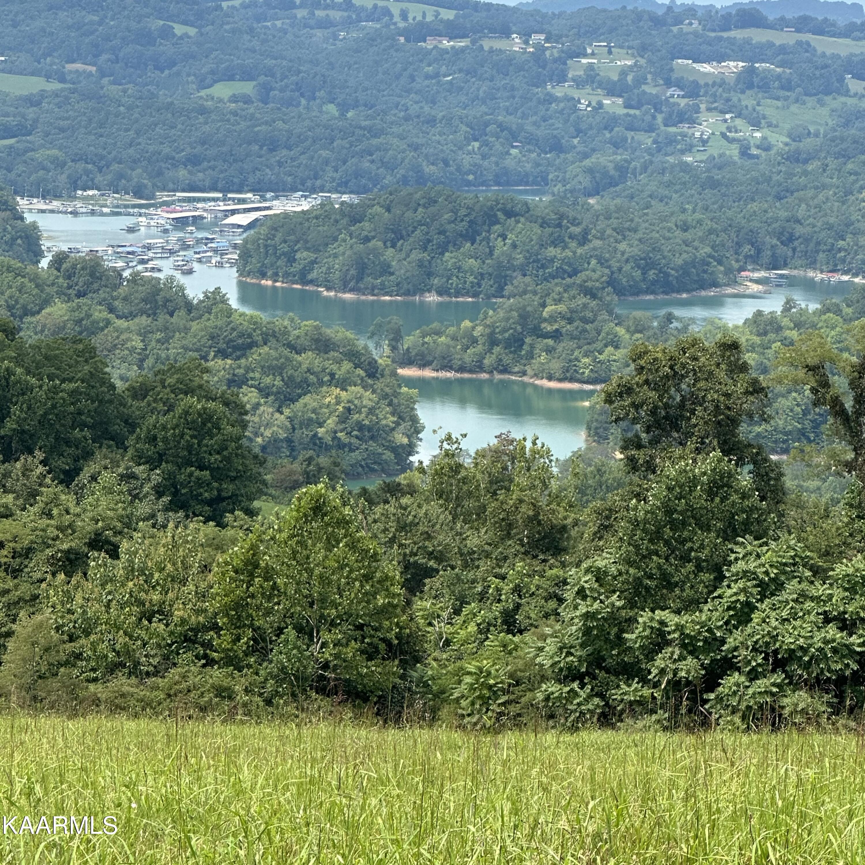 Overton Rd Road Maynardville, TN 37807 - Photo 1 of 16 lot 13 13