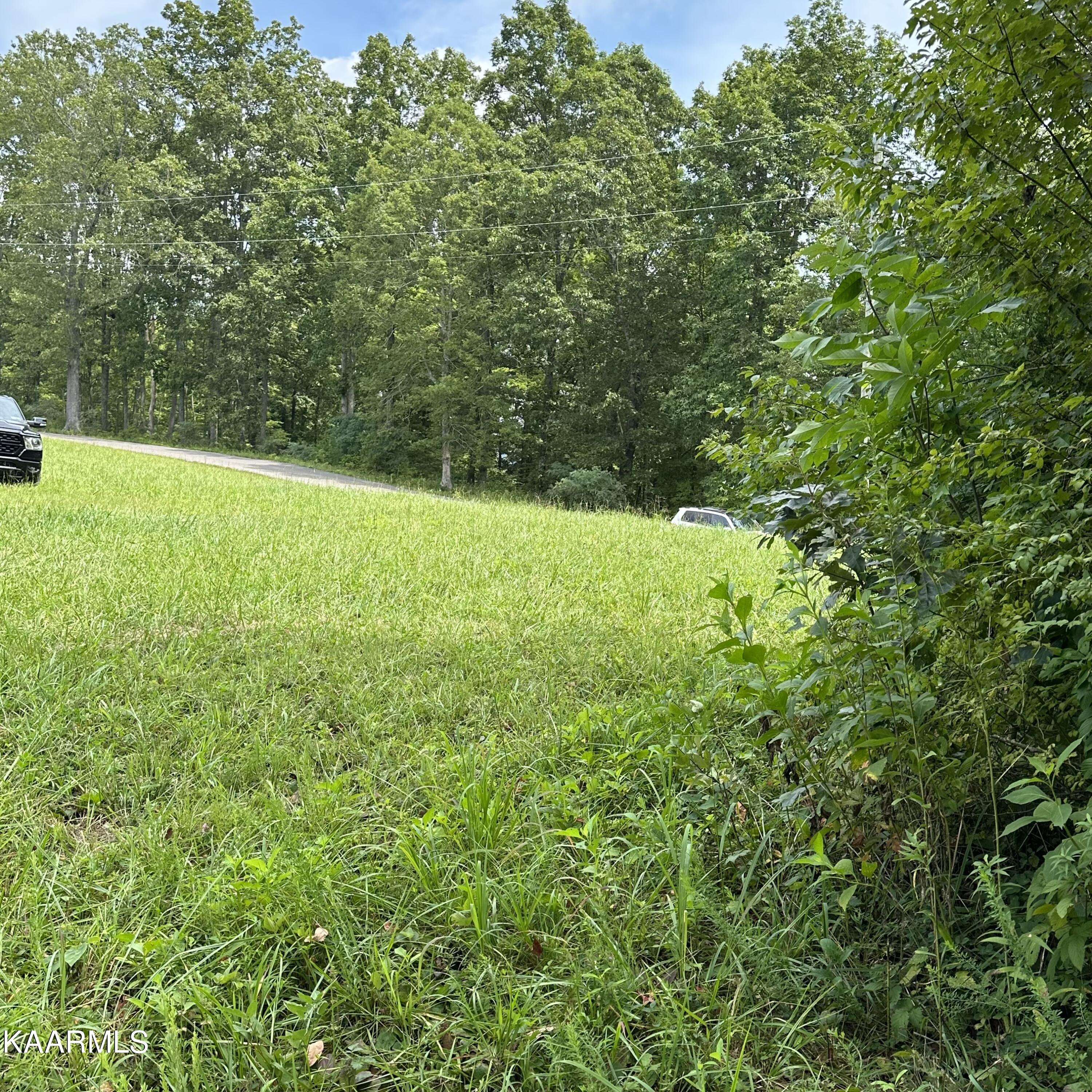 Overton Rd Road Maynardville, TN 37807 - Photo 14 of 16 lot 13 5