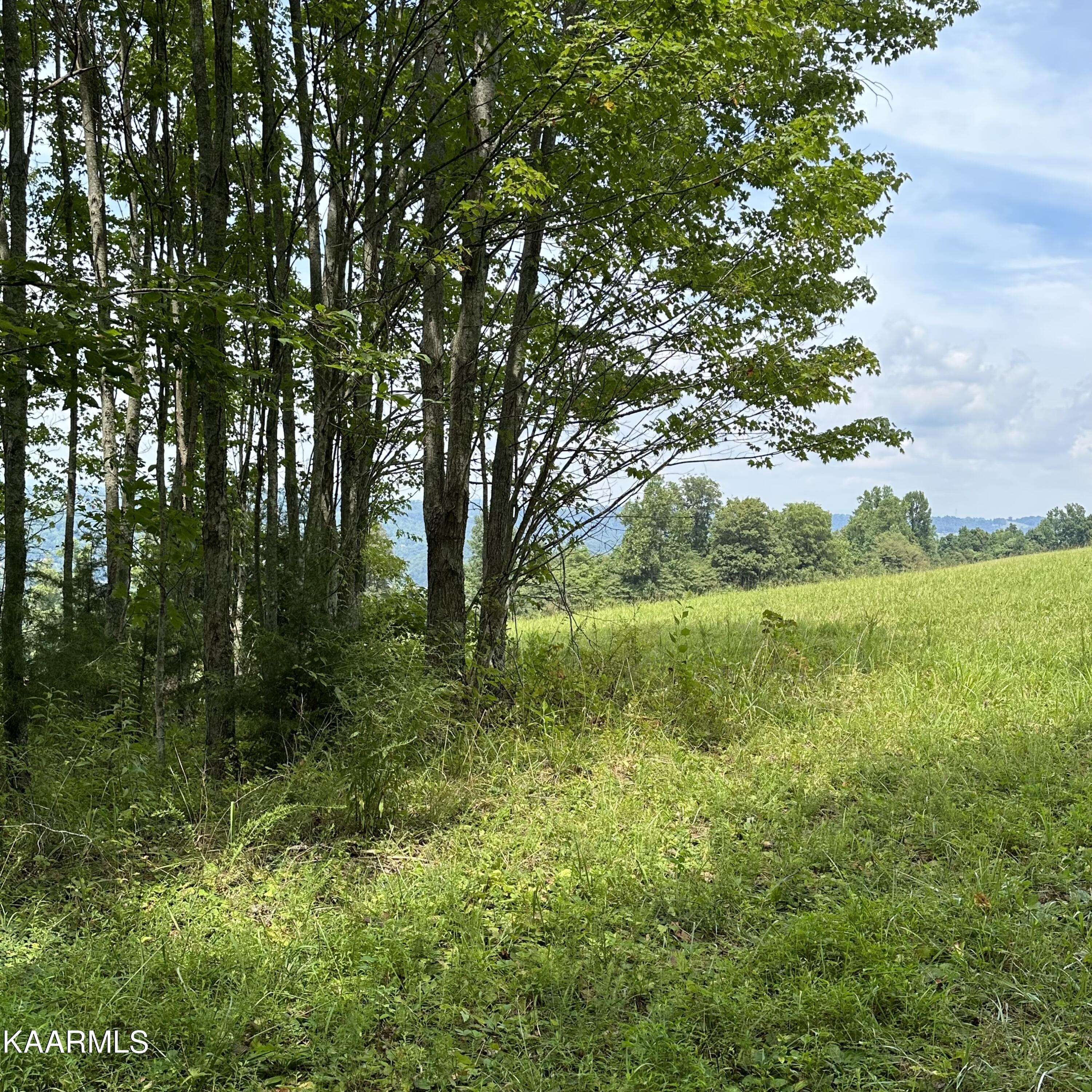 Overton Rd Road Maynardville, TN 37807 - Photo 15 of 16 lot 13 4