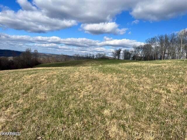 Overton Rd Road Maynardville, TN 37807 - Photo 6 of 16 overton bay meadow 13