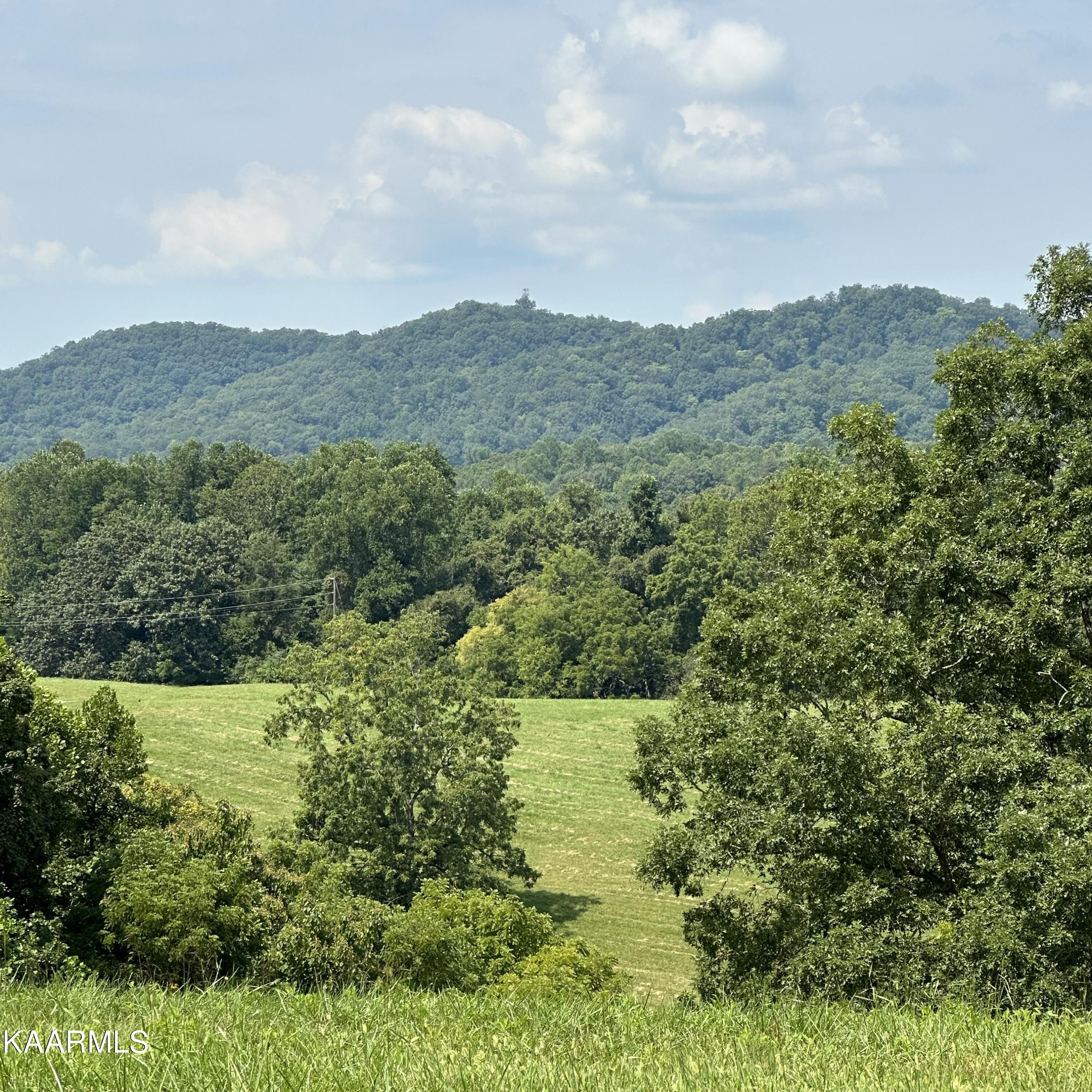 Overton Rd Road Maynardville, TN 37807 - Photo 8 of 16 lot 13 12