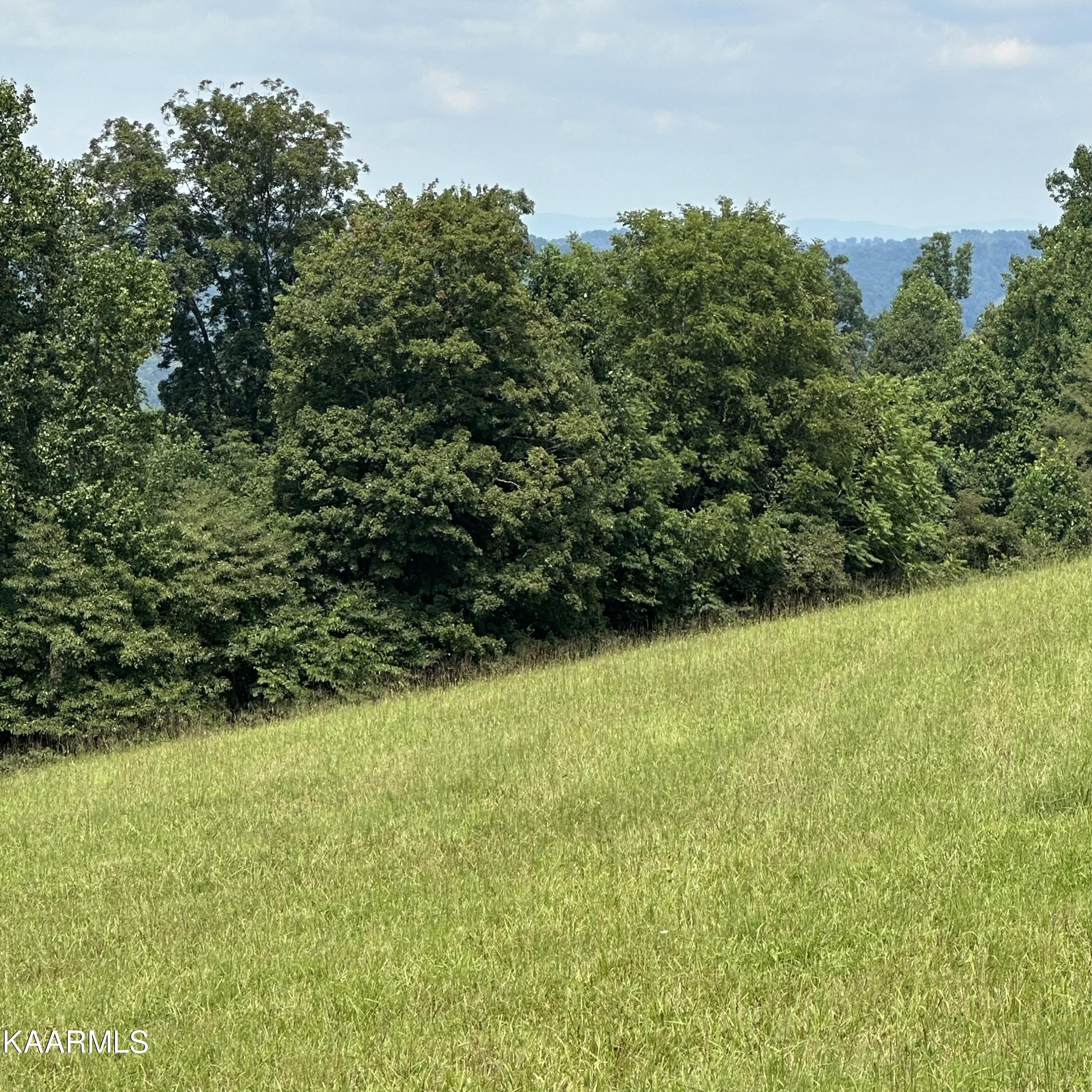 Overton Rd Road Maynardville, TN 37807 - Photo 10 of 16 lot 13 9
