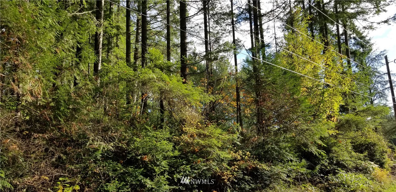 0 Ulsh Road Southwest Lakebay, WA 98349 - Photo 1 of 5
