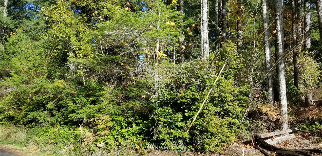 0 Ulsh Road Southwest Lakebay, WA 98349 - Photo 3 of 5