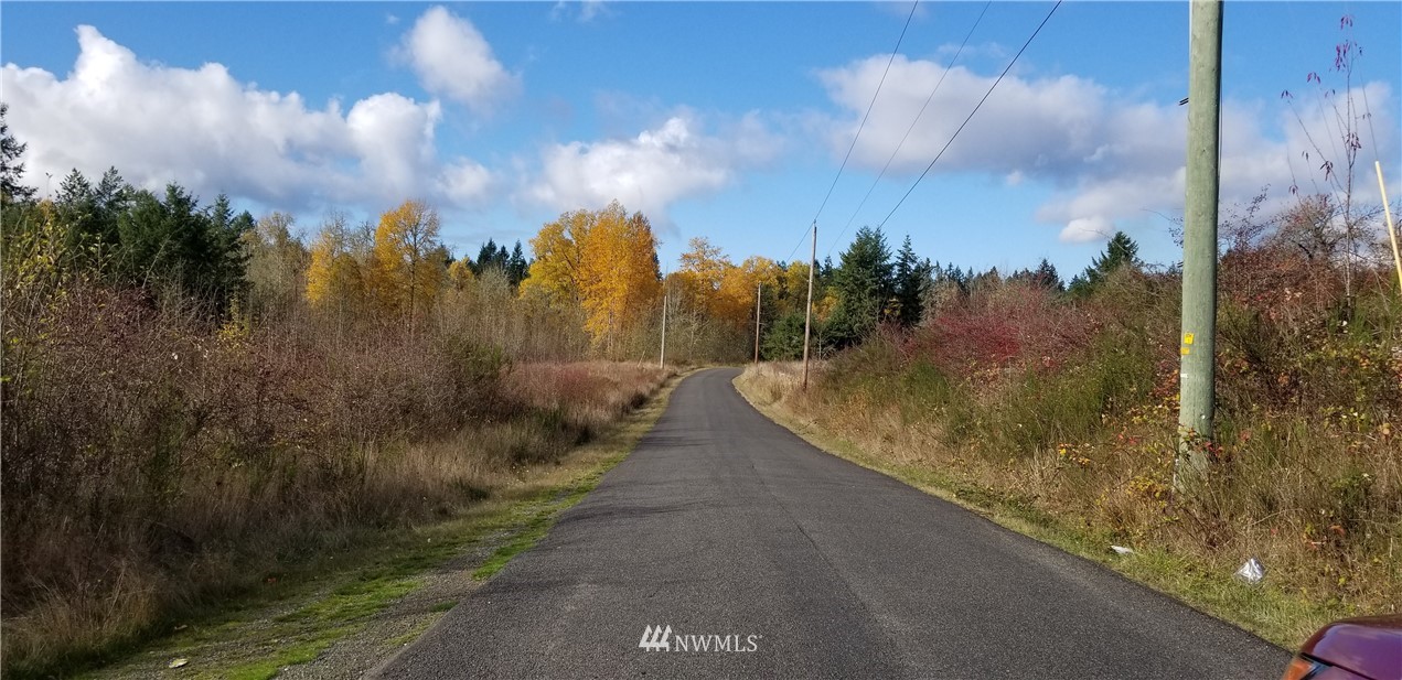 0 Ulsh Road Southwest Lakebay, WA 98349 - Photo 5 of 5