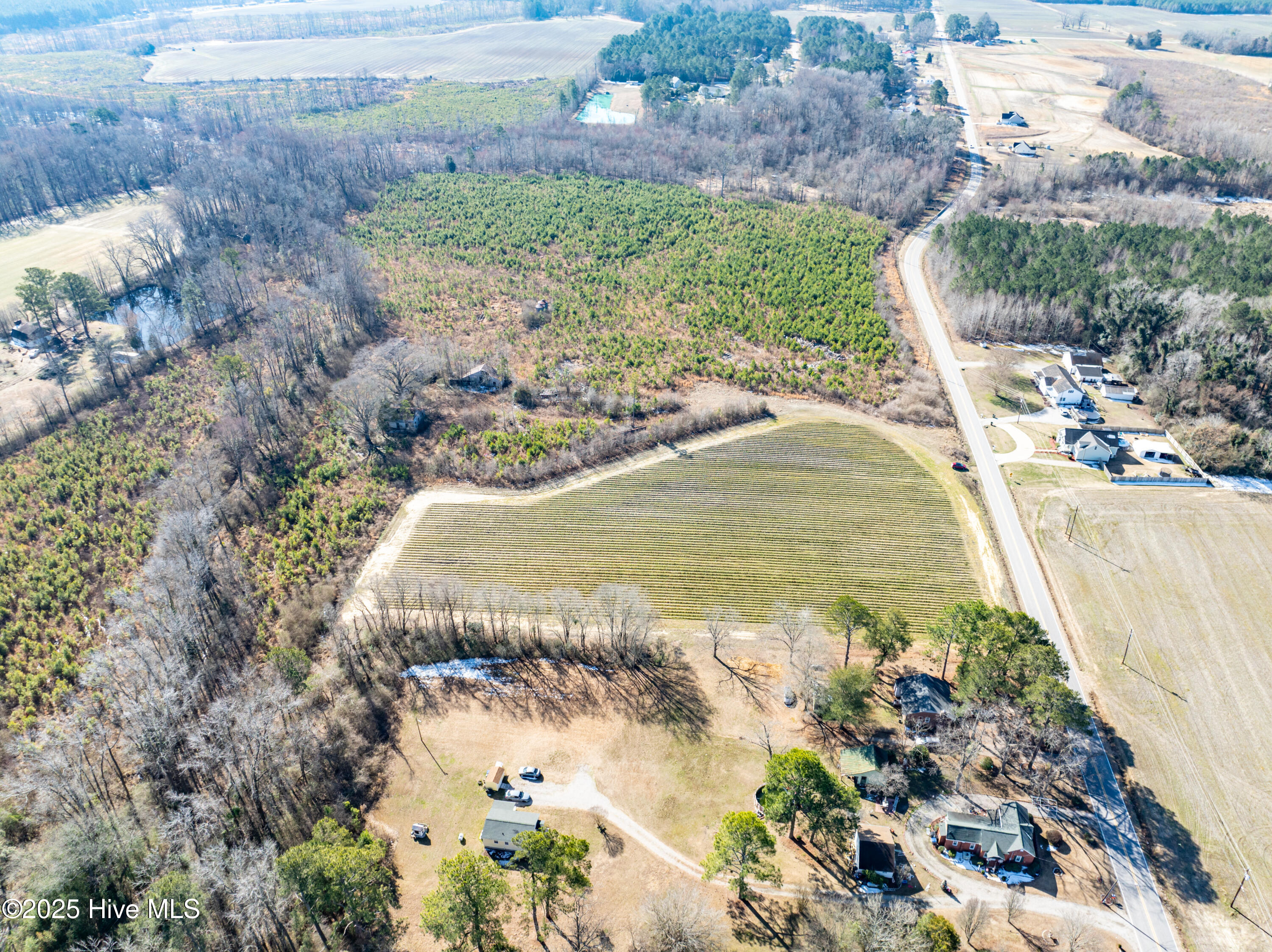 239 Green Pasture Road Rocky Mount, NC 27801 - Photo 8 of 10 239 Green Pasture Rd (8)