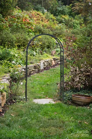 a view of a yard with plants and large trees
