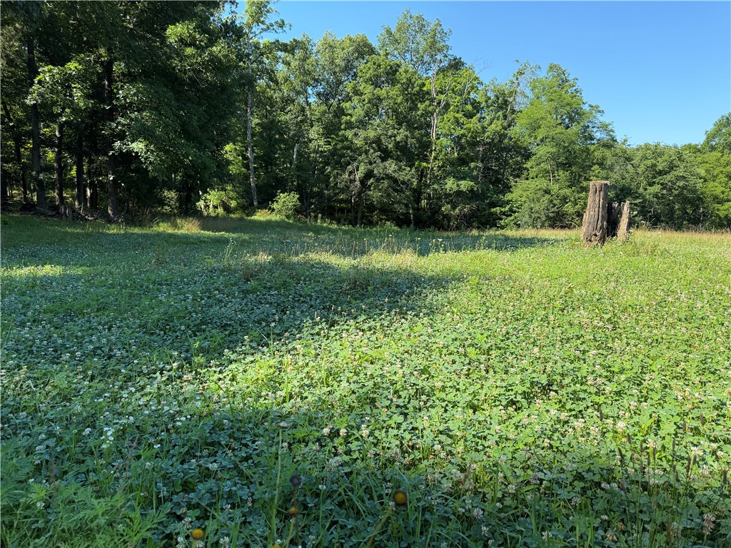 1897 Chestnut Ridge Road West Union, OH 45693 - Photo 48 of 61