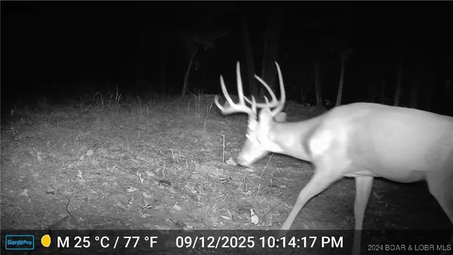 $45,000 | 30915 Broken Circle Road, Stover, MO 65078