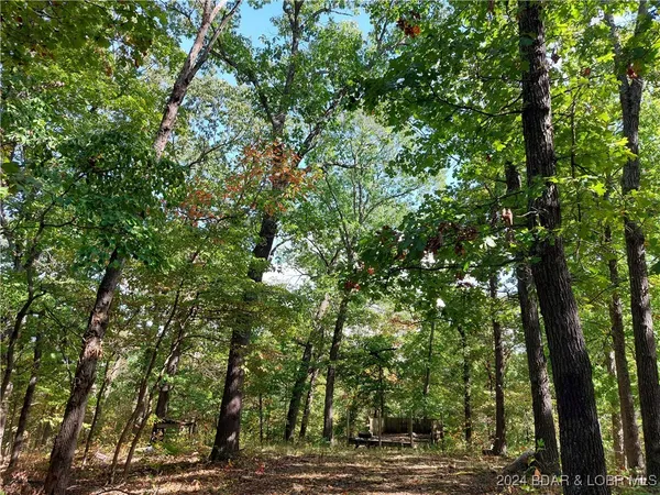 $45,000 | 30915 Broken Circle Road, Stover, MO 65078