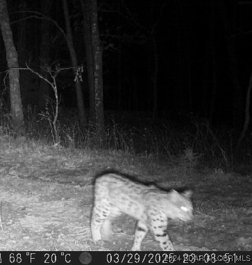 30915 Broken Circle Road Stover, MO 65078 - Photo 2 of 10