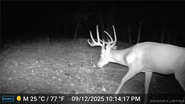 $45,000 | 30915 Broken Circle Road, Stover, MO 65078