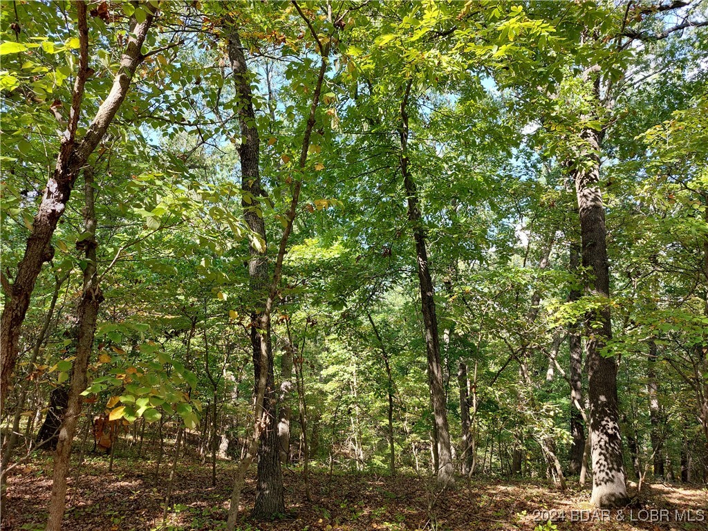 30915 Broken Circle Road Stover, MO 65078 - Photo 4 of 10 BEAUTIFUL NATIVE HABITAT FOR WILDLIFE