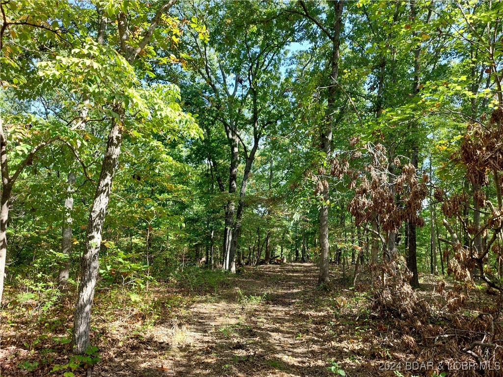 30915 Broken Circle Road Stover, MO 65078 - Photo 4 of 10 DRIVEWAY TO CLEARING