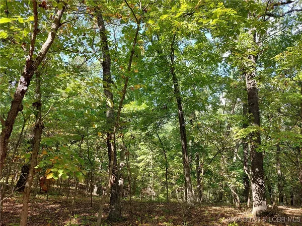 $45,000 | 30915 Broken Circle Road, Stover, MO 65078