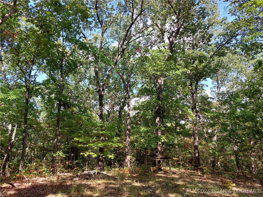 30915 Broken Circle Road Stover, MO 65078 - Photo 6 of 10 LARGE TREES