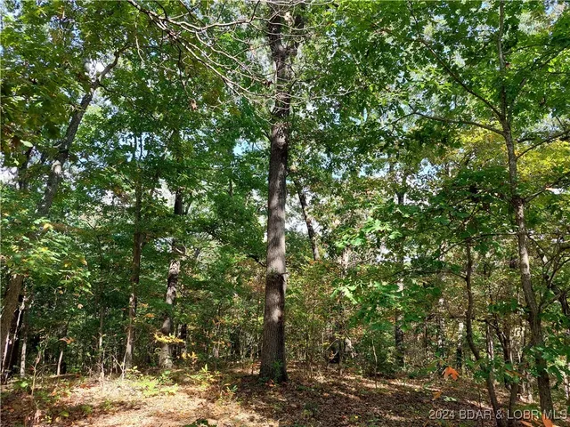 $45,000 | 30915 Broken Circle Road, Stover, MO 65078