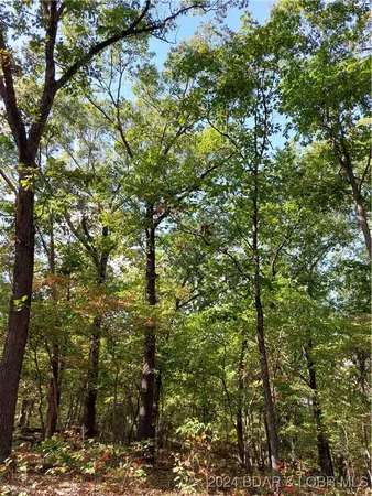 $45,000 | 30915 Broken Circle Road, Stover, MO 65078