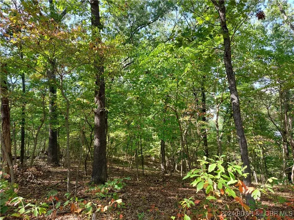 $45,000 | 30915 Broken Circle Road, Stover, MO 65078