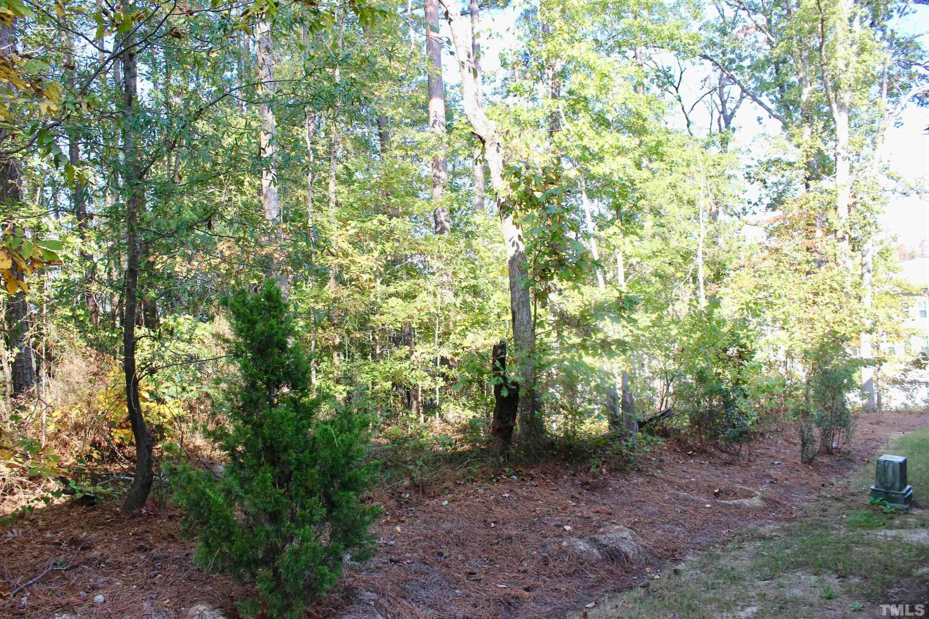 1608 Topaz Lane Apex, NC 27502 - Photo 20 of 23 a view of a forest that has large trees