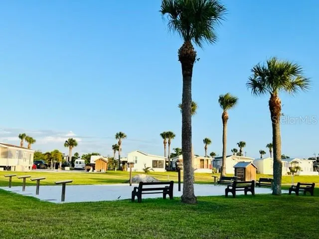 a park with lots of palm trees