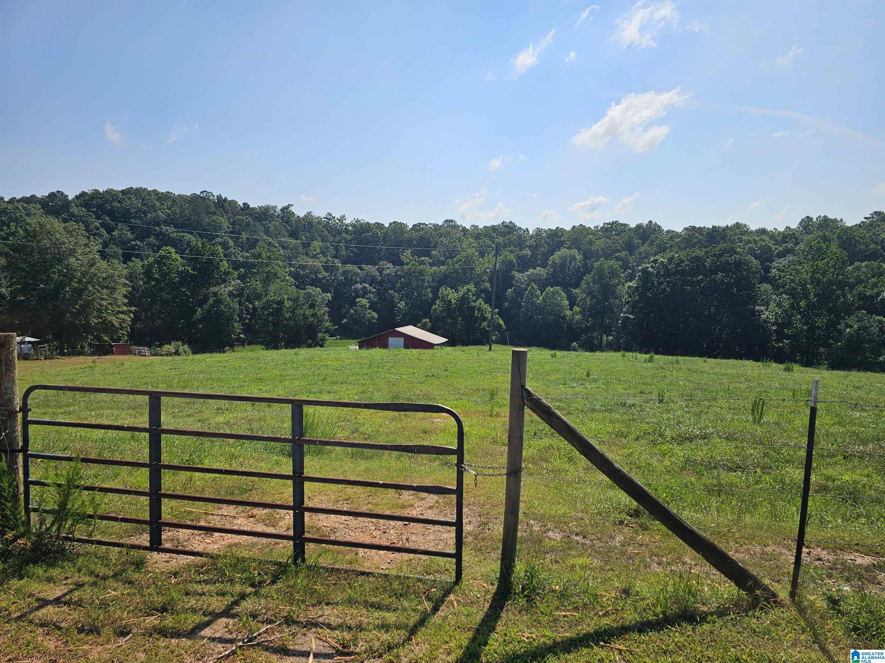 10 County Road 10 Ranburne, AL 36273 - Photo 1 of 11