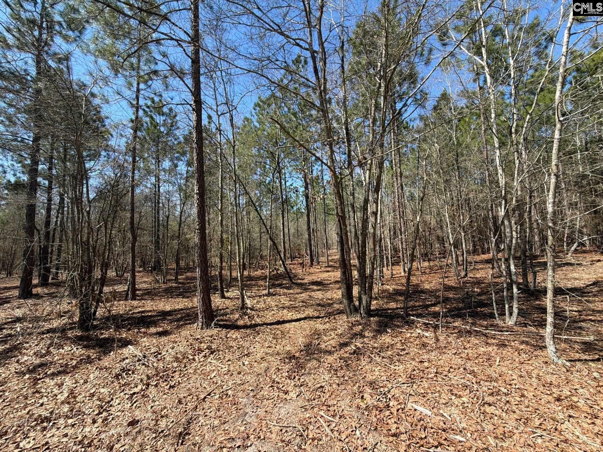 9 Boise Cascade Road, Unit BHL 9 Bethune, SC 29009 - Photo 24 of 44