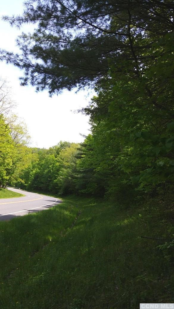 0 County Route 13 Brainard, NY 12024 - Photo 2 of 5 Photo 2