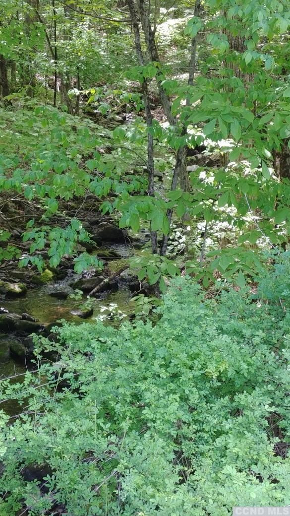 0 County Route 13 Brainard, NY 12024 - Photo 3 of 5 Photo 3