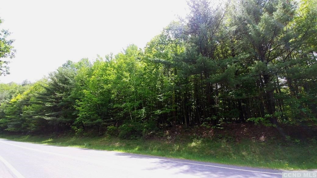 0 County Route 13 Brainard, NY 12024 - Photo 5 of 5 Photo 5