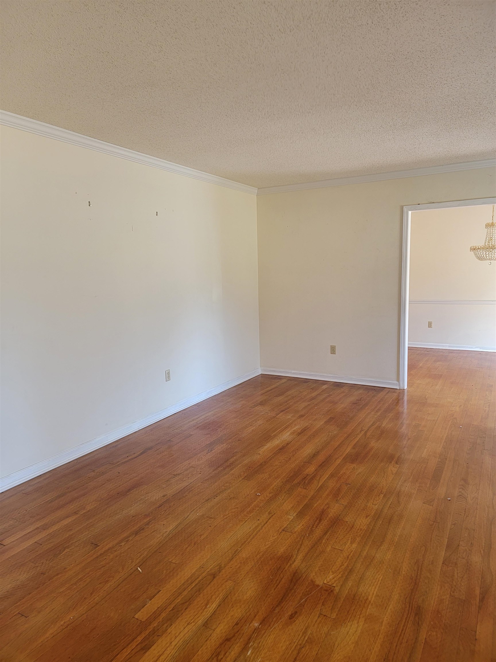 486 Cardinal Drive Collierville, TN 38017 - Photo 3 of 22 a view of empty room